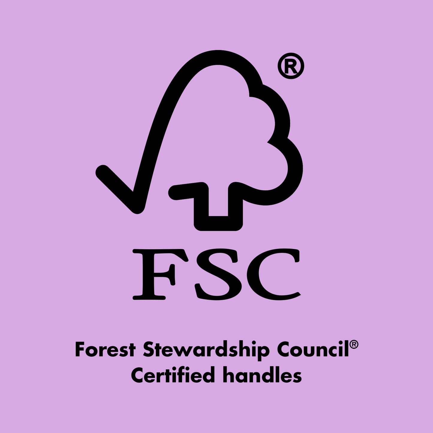 ten-out-of-ten-brush-kit-b4 0423_EDUCATION_FSC_EVERGREEN.jpg