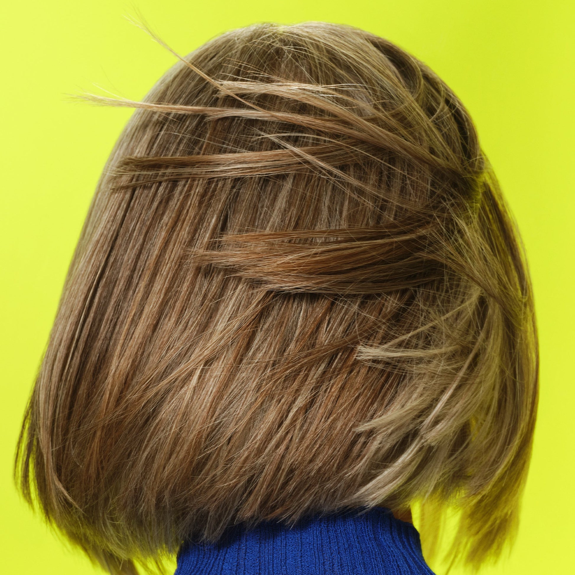 frizz-to-rizz-trio-a3 111725_Vicky_HumidityAntifrizz-Editorial_0538_w2QC_IGF_1x1_05a09617-4ccf-44a2-8545-199321a503e1.jpg